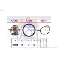 TERMOSTAT TM295274FC