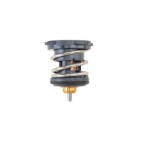 TERMOSTAT TM299441MH
