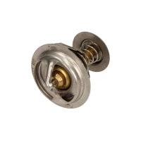 TERMOSTAT TM310431MX