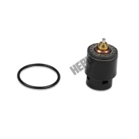 TERMOSTAT TM317501HPU