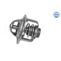 TERMOSTAT TM332702ML