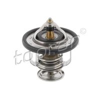 TERMOSTAT TM341987TP