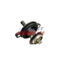 TERMOSTAT TM343066FST