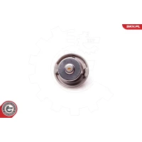 TERMOSTAT TM349437ES