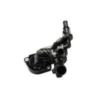 TERMOSTAT TM359938MH