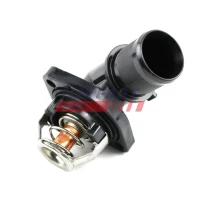 TERMOSTAT TM385699FST