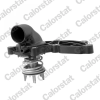 TERMOSTAT TM390084CT