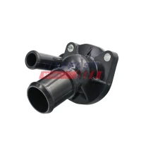 TERMOSTAT TM392969FST