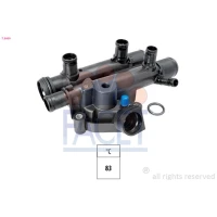 TERMOSTAT TM396015FC
