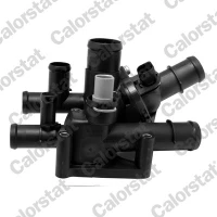 TERMOSTAT TM417019CT