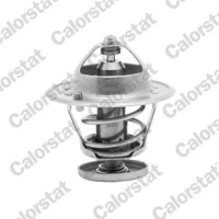 TERMOSTAT TM419062CT