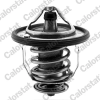 TERMOSTAT TM429795CT