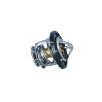 TERMOSTAT TM434054NF
