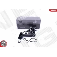 TERMOSTAT TM441077ES