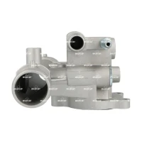 TERMOSTAT TM442555NF