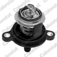 TERMOSTAT TM443677CT