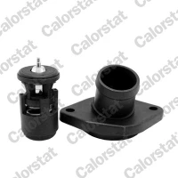 TERMOSTAT TM459998CT