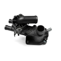 TERMOSTAT TM462497HPU