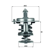 TERMOSTAT TM473783MH