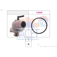TERMOSTAT TM493844FC
