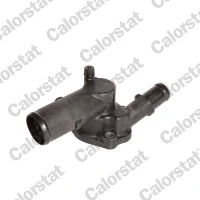 TERMOSTAT TM495249CT