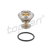 TERMOSTAT TM495845TP