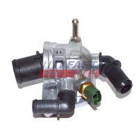 TERMOSTAT TM502546FST