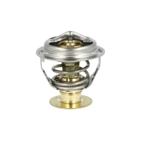 TERMOSTAT TM505536NF