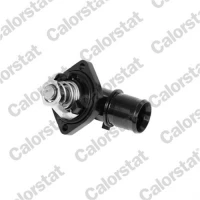 TERMOSTAT TM507116CT