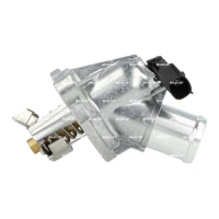 TERMOSTAT TM511271NF
