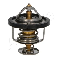TERMOSTAT TM519529AA