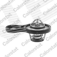 TERMOSTAT TM519878CT