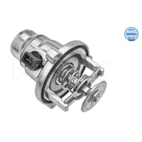 TERMOSTAT TM522181ML