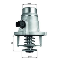 TERMOSTAT TM524284MH