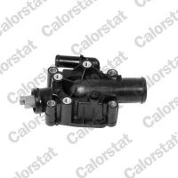 TERMOSTAT TM531138CT