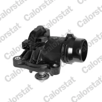 TERMOSTAT TM543694CT