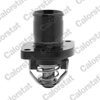 TERMOSTAT TM546838CT