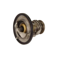 TERMOSTAT TM547041MX
