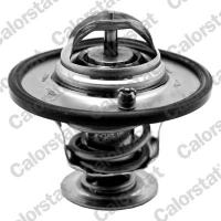 TERMOSTAT TM548749CT
