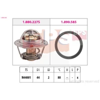 TERMOSTAT TM550146EPS