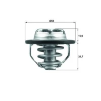 TERMOSTAT TM553557MH