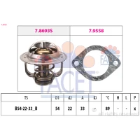 TERMOSTAT TM557589FC