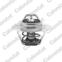 TERMOSTAT TM569986CT
