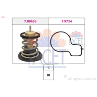TERMOSTAT TM571318FC