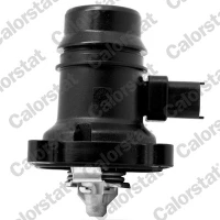 TERMOSTAT TM579986CT