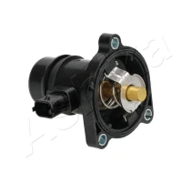 TERMOSTAT TM600101AA