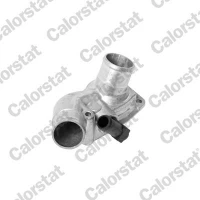 TERMOSTAT TM600462CT