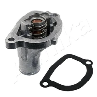 TERMOSTAT TM608603AA