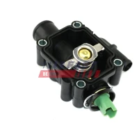 TERMOSTAT TM610520FST