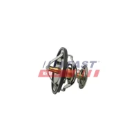 TERMOSTAT TM619814FST